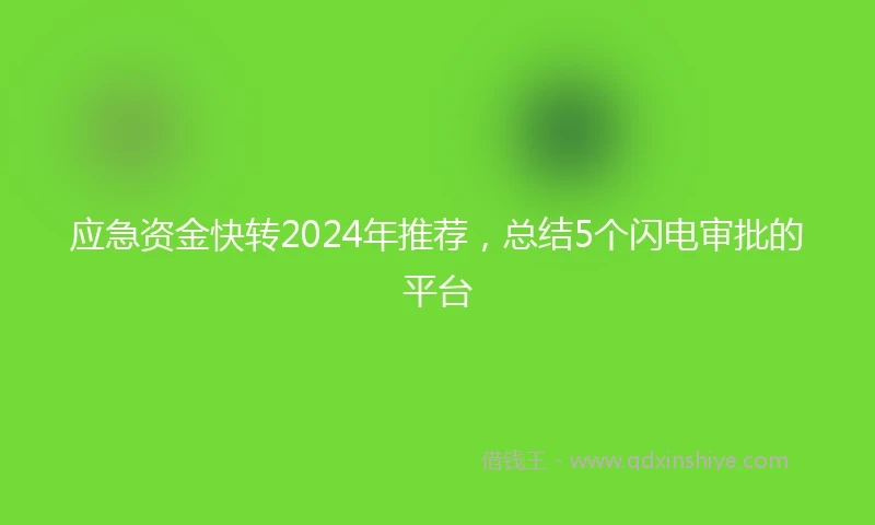 应急资金快转2024年推荐，总结5个闪电审批的平台