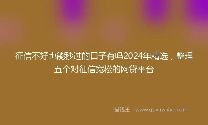征信不好也能秒过的口子有吗2024年精选，整理五个对征信宽松的网贷平台