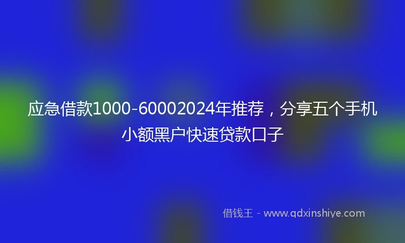 应急借款1000-60002024年推荐，分享五个手机小额黑户快速贷款口子