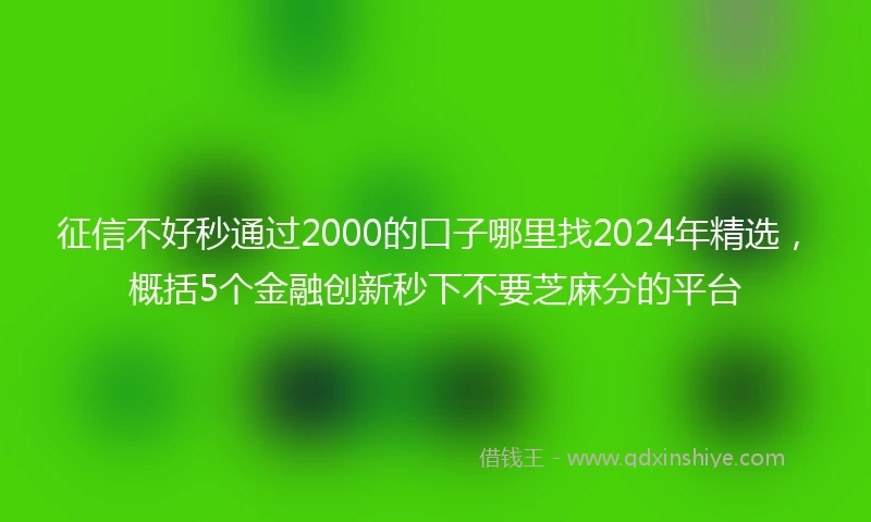 征信不好秒通过2000的口子哪里找2024年精选，概括5个金融创新秒下不要芝麻分的平台