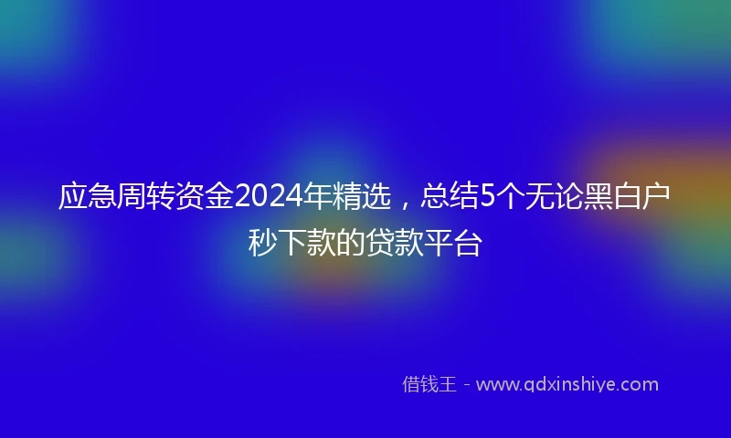 应急周转资金2024年精选，总结5个无论黑白户秒下款的贷款平台