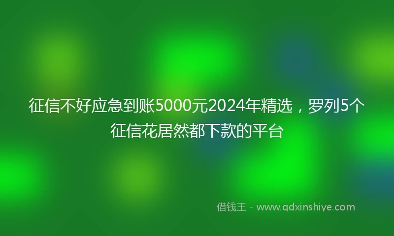 征信不好应急到账5000元2024年精选，罗列5个征信花居然都下款的平台