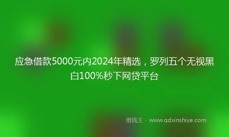 应急借款5000元内2024年精选，罗列五个无视黑白100%秒下网贷平台