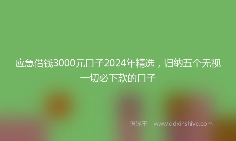应急借钱3000元口子2024年精选，归纳五个无视一切必下款的口子