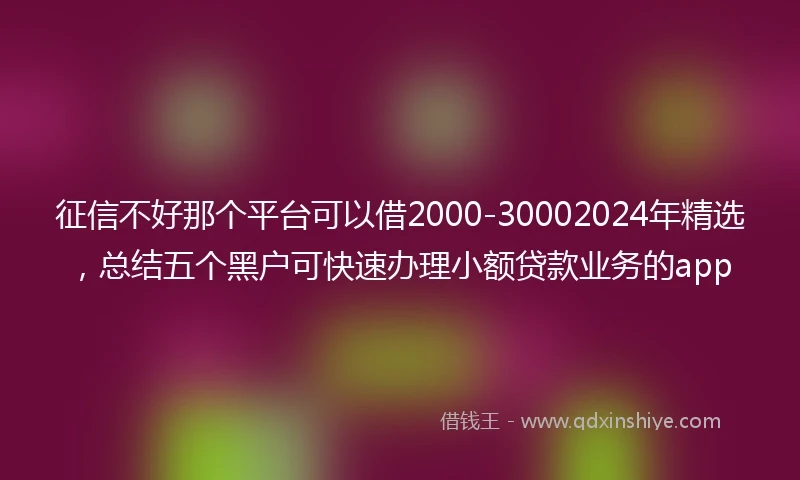 征信不好那个平台可以借2000-30002024年精选，总结五个黑户可快速办理小额贷款业务的app