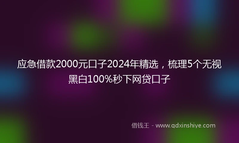 应急借款2000元口子2024年精选，梳理5个无视黑白100%秒下网贷口子