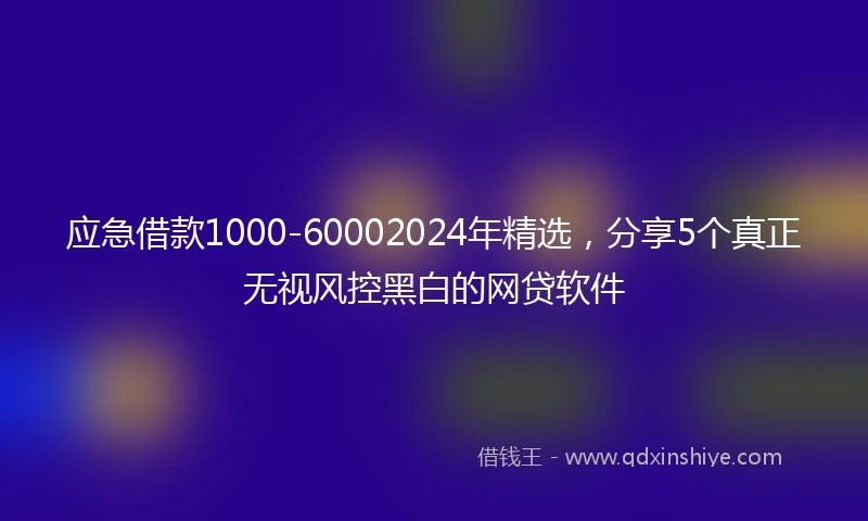应急借款1000-60002024年精选，分享5个真正无视风控黑白的网贷软件