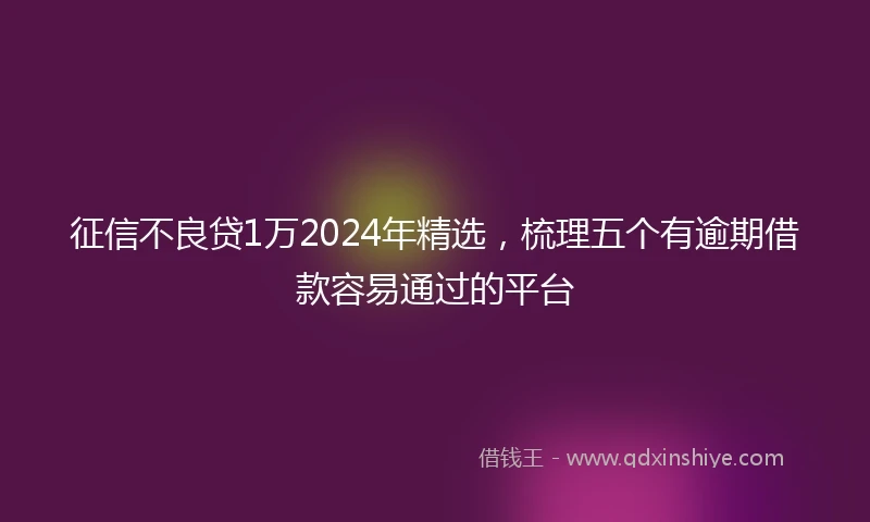 征信不良贷1万2024年精选，梳理五个有逾期借款容易通过的平台