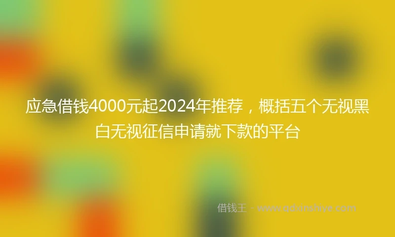 应急借钱4000元起2024年推荐，概括五个无视黑白无视征信申请就下款的平台