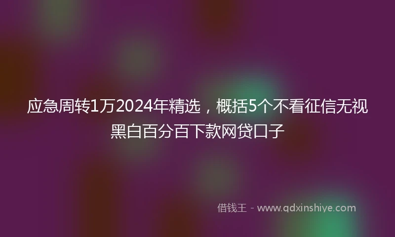 应急周转1万2024年精选，概括5个不看征信无视黑白百分百下款网贷口子