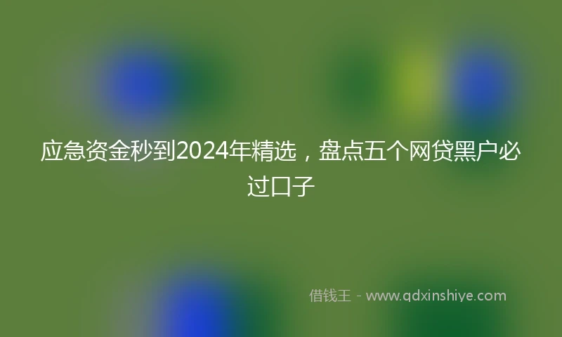 应急资金秒到2024年精选，盘点五个网贷黑户必过口子