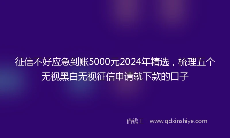 征信不好应急到账5000元2024年精选，梳理五个无视黑白无视征信申请就下款的口子