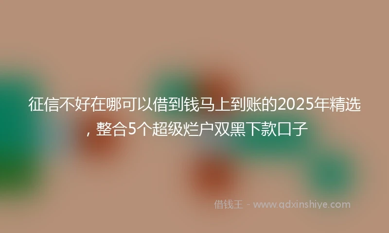 征信不好在哪可以借到钱马上到账的2025年精选，整合5个超级烂户双黑下款口子