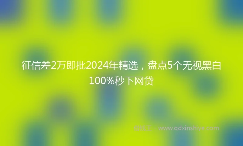 征信差2万即批2024年精选，盘点5个无视黑白100%秒下网贷