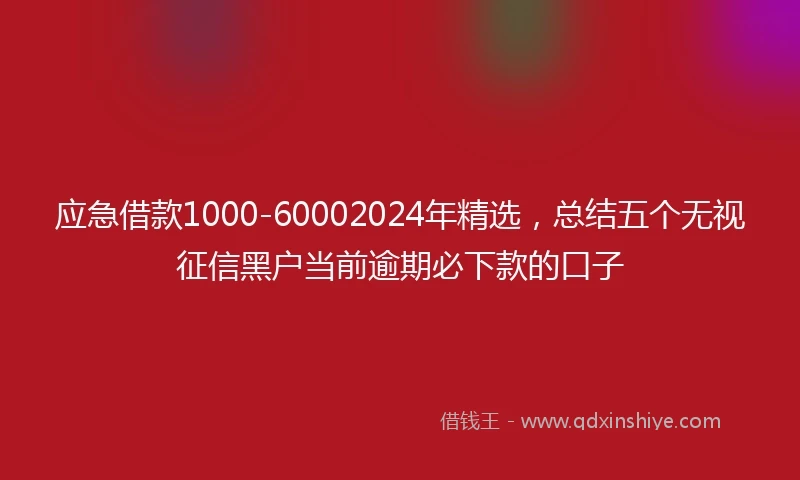 应急借款1000-60002024年精选，总结五个无视征信黑户当前逾期必下款的口子