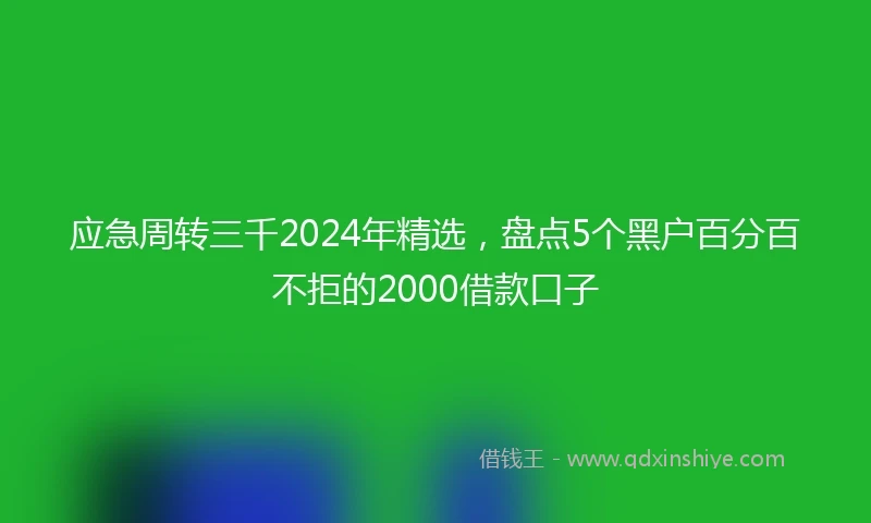 应急周转三千2024年精选，盘点5个黑户百分百不拒的2000借款口子