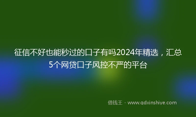 征信不好也能秒过的口子有吗2024年精选，汇总5个网贷口子风控不严的平台