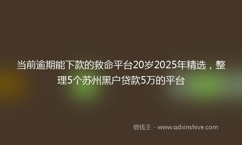 当前逾期能下款的救命平台20岁2025年精选，整理5个苏州黑户贷款5万的平台