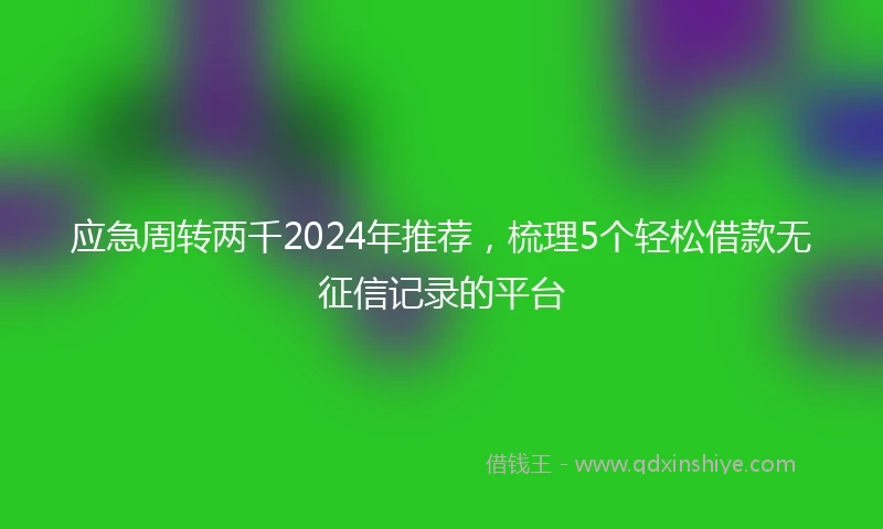 应急周转两千2024年推荐，梳理5个轻松借款无征信记录的平台