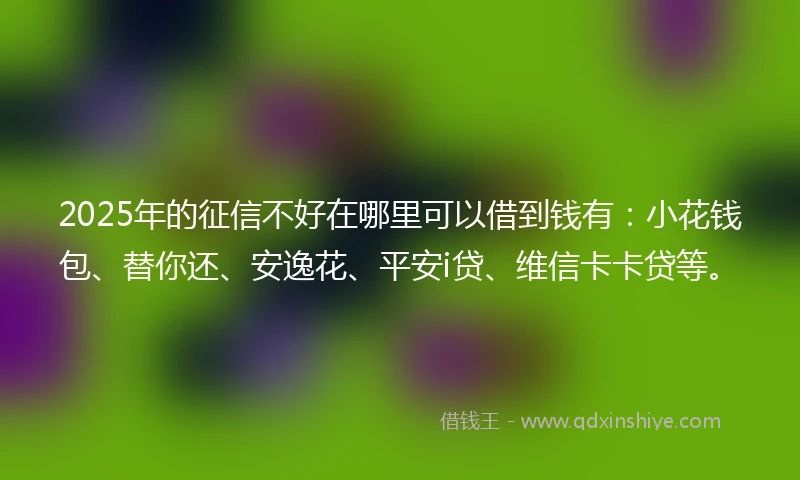 2025年的征信不好在哪里可以借到钱有：小花钱包、替你还、安逸花、平安i贷、维信卡卡贷等。