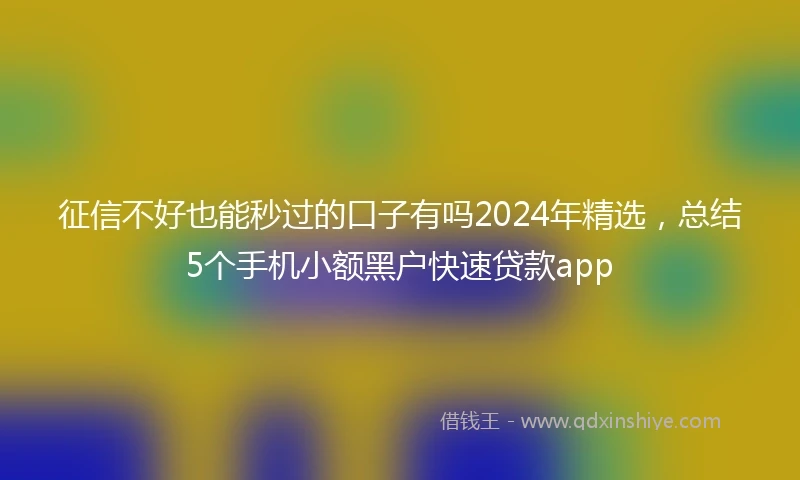 征信不好也能秒过的口子有吗2024年精选，总结5个手机小额黑户快速贷款app