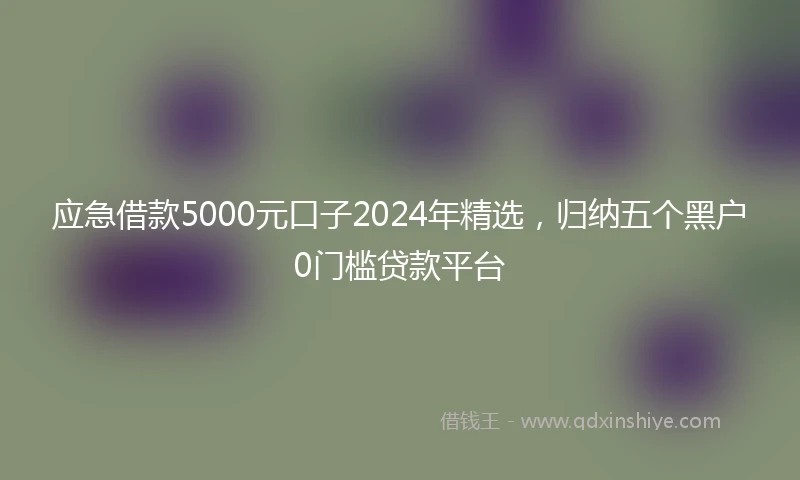 应急借款5000元口子2024年精选，归纳五个黑户0门槛贷款平台