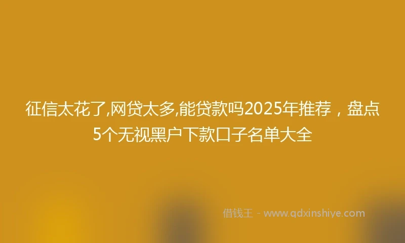 征信太花了,网贷太多,能贷款吗2025年推荐，盘点5个无视黑户下款口子名单大全