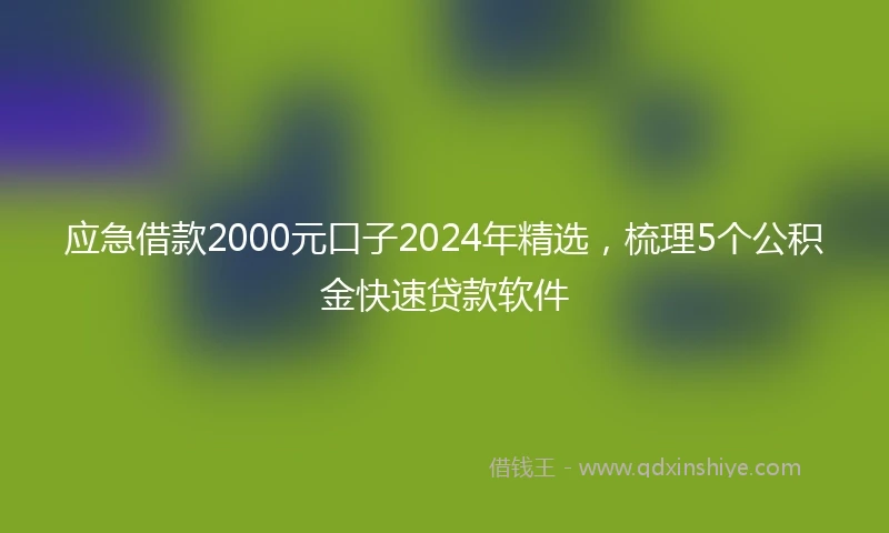 应急借款2000元口子2024年精选，梳理5个公积金快速贷款软件