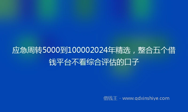 应急周转5000到100002024年精选，整合五个借钱平台不看综合评估的口子