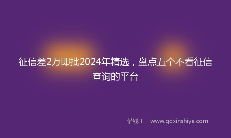 征信差2万即批2024年精选，盘点五个不看征信查询的平台