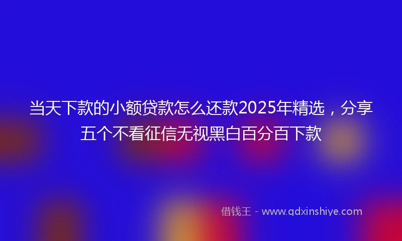 当天下款的小额贷款怎么还款2025年精选，分享五个不看征信无视黑白百分百下款