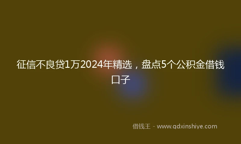 征信不良贷1万2024年精选，盘点5个公积金借钱口子