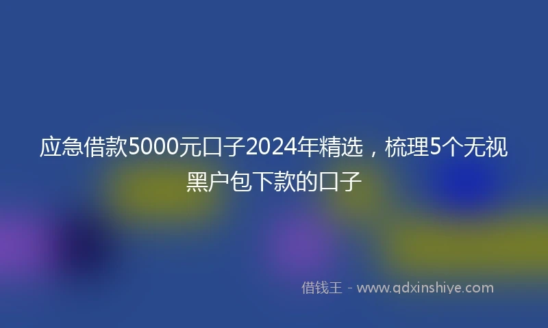 应急借款5000元口子2024年精选，梳理5个无视黑户包下款的口子
