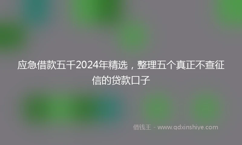 应急借款五千2024年精选，整理五个真正不查征信的贷款口子