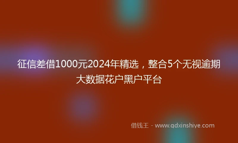 征信差借1000元2024年精选，整合5个无视逾期大数据花户黑户平台