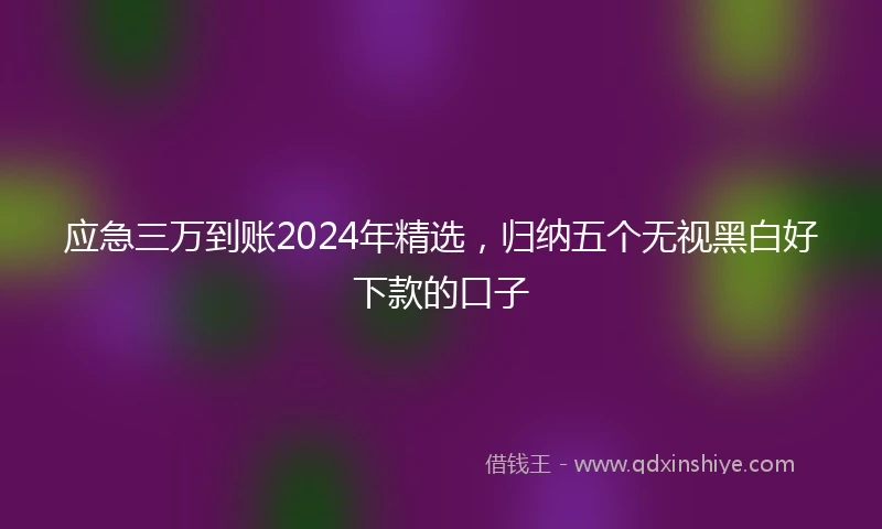 应急三万到账2024年精选，归纳五个无视黑白好下款的口子