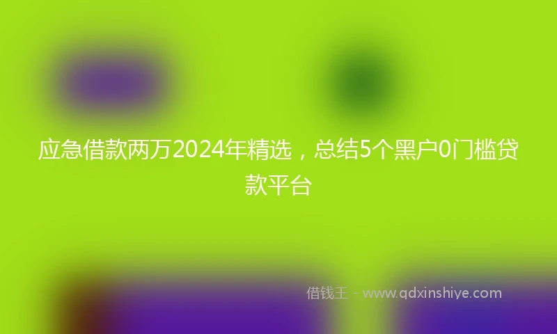 应急借款两万2024年精选，总结5个黑户0门槛贷款平台