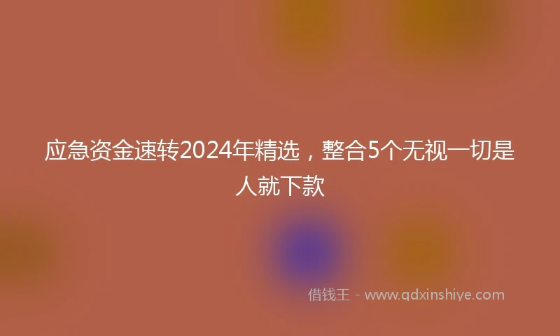 应急资金速转2024年精选，整合5个无视一切是人就下款
