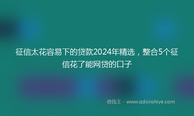 征信太花容易下的贷款2024年精选，整合5个征信花了能网贷的口子