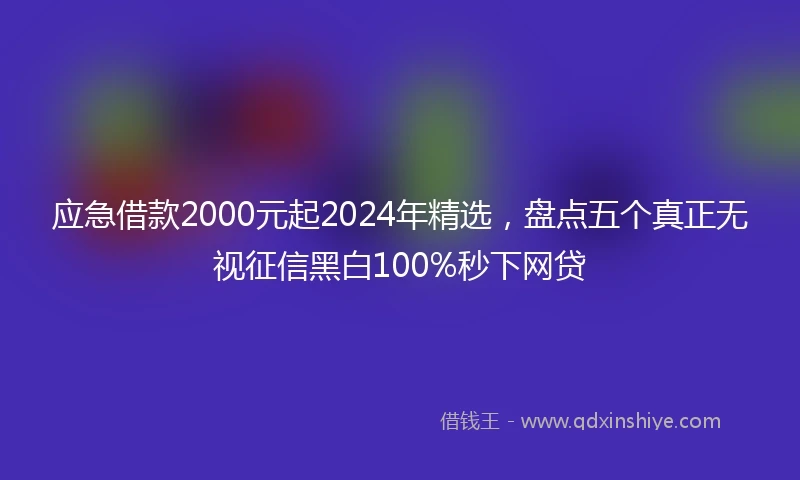 应急借款2000元起2024年精选，盘点五个真正无视征信黑白100%秒下网贷