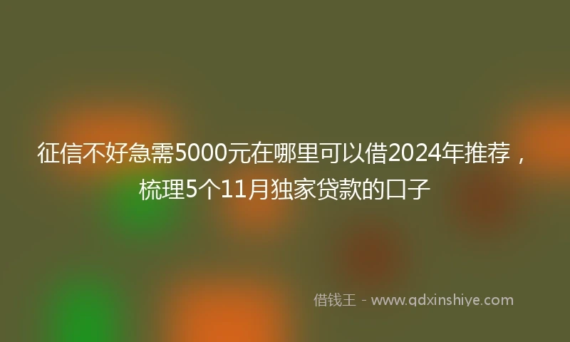 征信不好急需5000元在哪里可以借2024年推荐，梳理5个11月独家贷款的口子