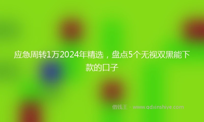 应急周转1万2024年精选，盘点5个无视双黑能下款的口子