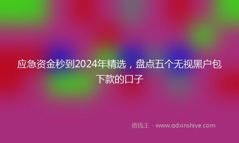 应急资金秒到2024年精选，盘点五个无视黑户包下款的口子