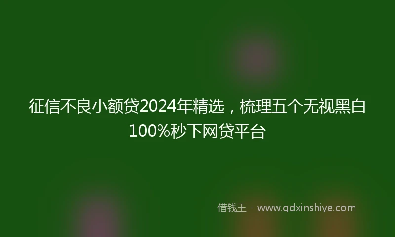 征信不良小额贷2024年精选，梳理五个无视黑白100%秒下网贷平台