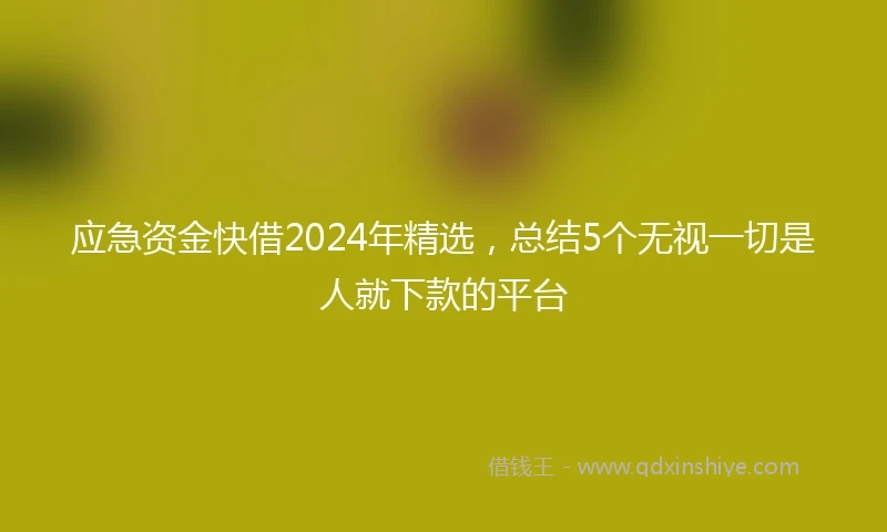 应急资金快借2024年精选，总结5个无视一切是人就下款的平台
