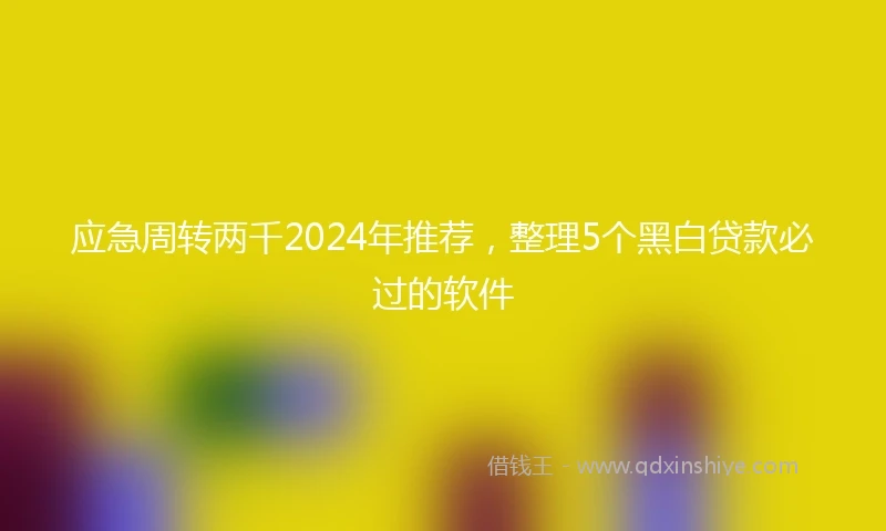 应急周转两千2024年推荐，整理5个黑白贷款必过的软件