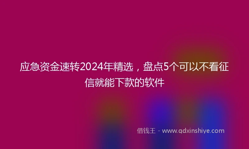 应急资金速转2024年精选，盘点5个可以不看征信就能下款的软件