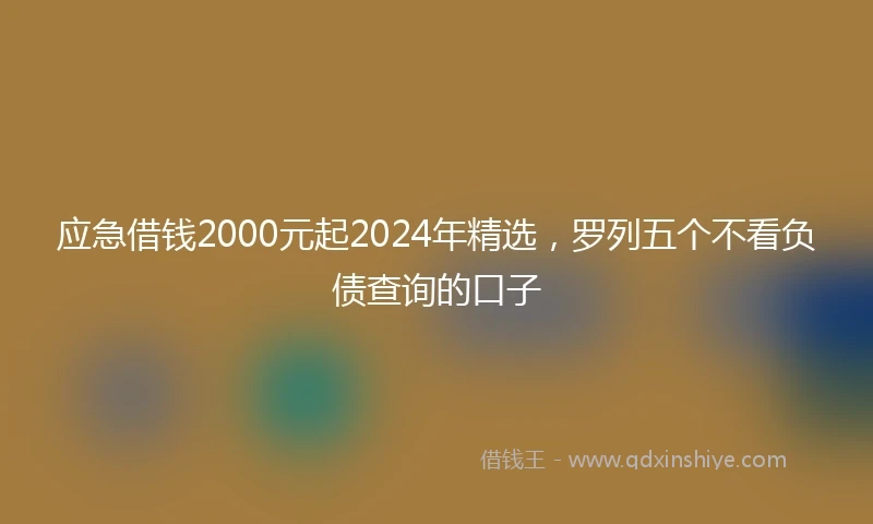 应急借钱2000元起2024年精选，罗列五个不看负债查询的口子