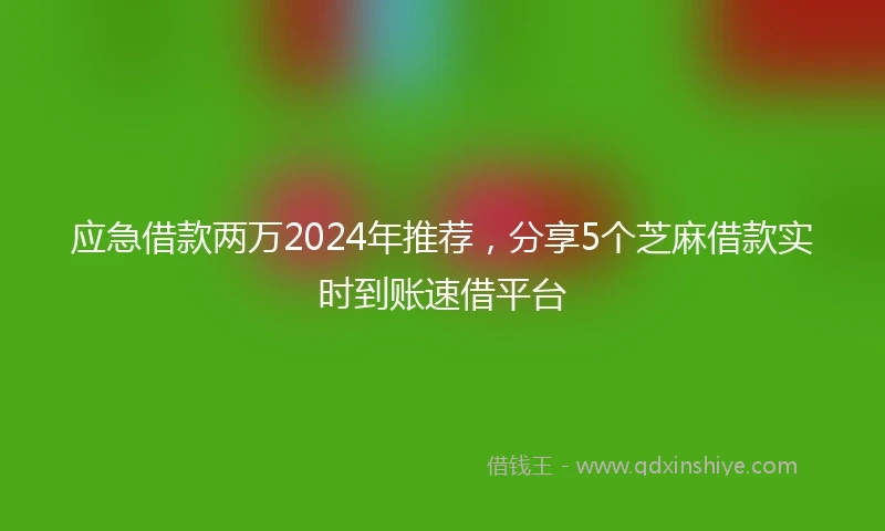应急借款两万2024年推荐，分享5个芝麻借款实时到账速借平台