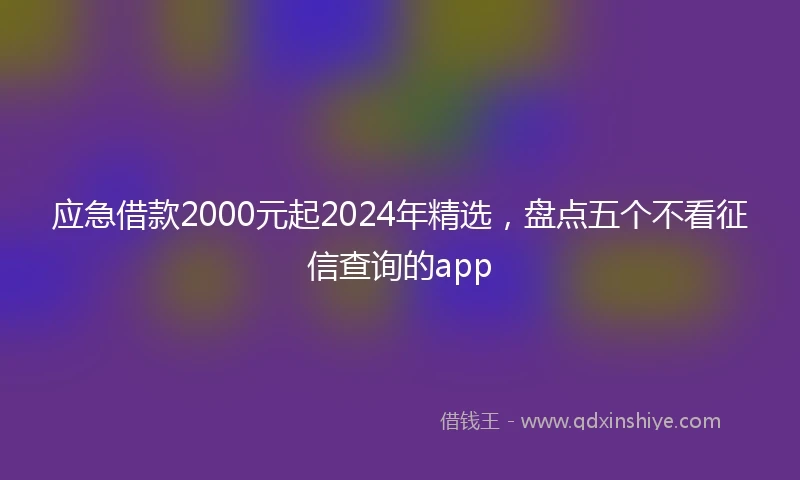 应急借款2000元起2024年精选，盘点五个不看征信查询的app